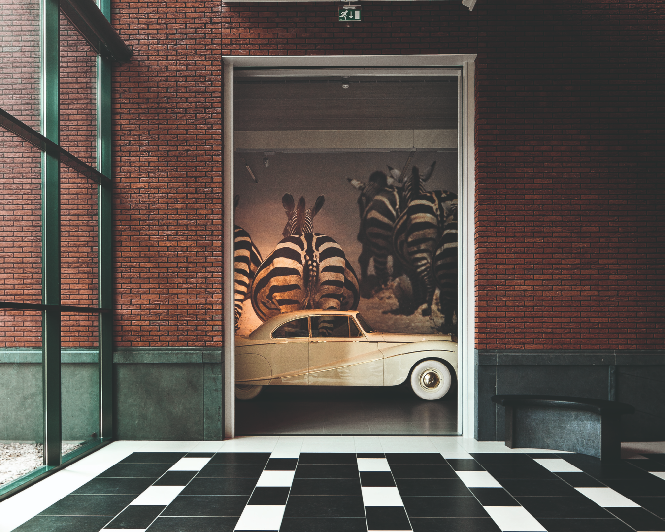 Hal met zebras op het behang en een prachtige klassieke auto ervoor